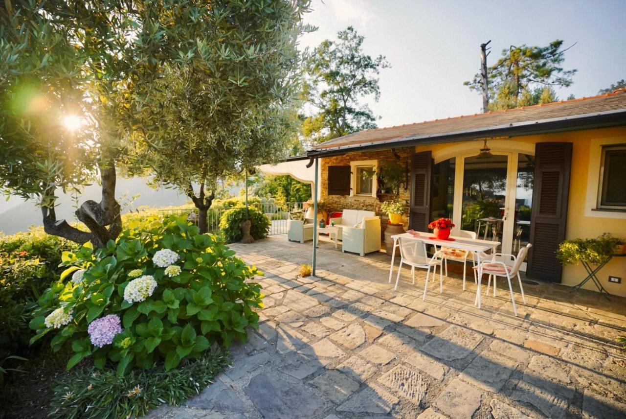 Small house with lush garden set on a hillside above Vernazza