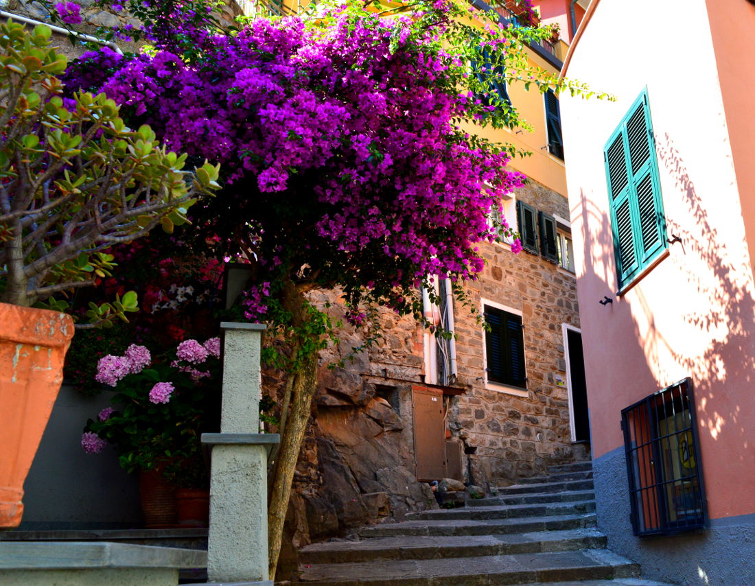 Quaint street in the Cinque Terre